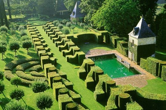 buissons taillées en diférentes formes géométrique dans le jardin d'Eyrignac