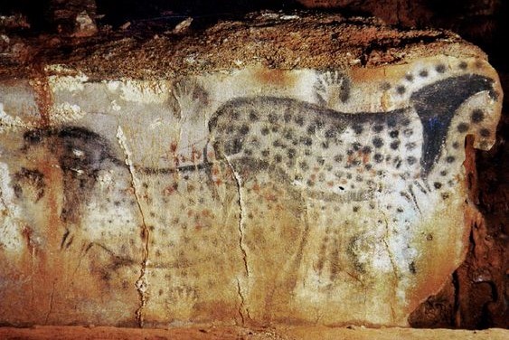 dessin troglodythe des chevaux dans la grotte du Peche Merle